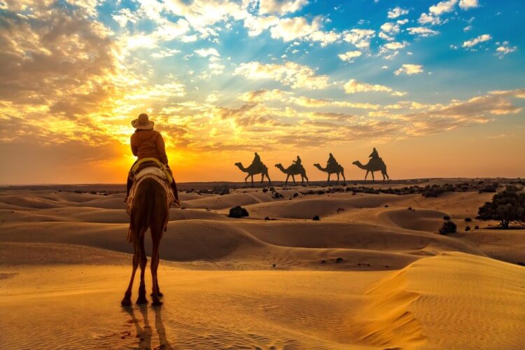 Camel-Safari-jaisalmer